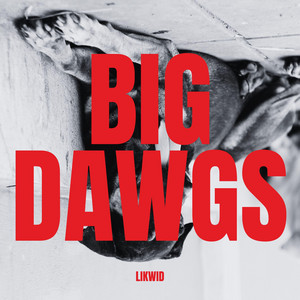 BIG DAWGS - DnB