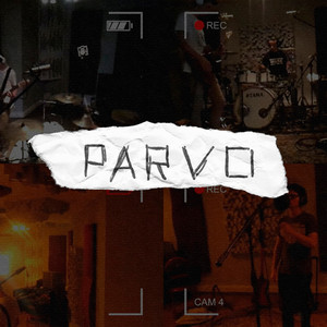 Parvo