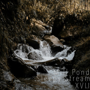 Sleepy Stream XVII by Mill Pond