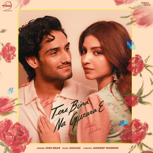 Tere Bina Na Guzara E by Josh Brar Album Cover