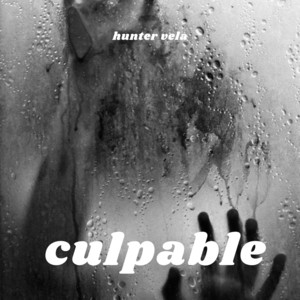 culpable by hunter vela