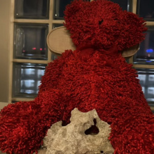 Hungry Bear by lostskin, DAFTY RORN