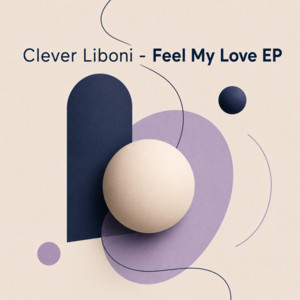 Feel My Love - Club Mix by Clever Liboni