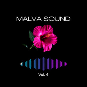 Malva Sound - Gdyby nie Ty (LIVE)