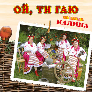 Ой, ти гаю