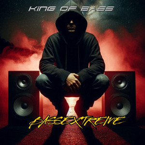 No Bars Basslines by King Of Bass