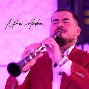 Mihai Andrei Band - Hai intoarce-te la mine (Live)