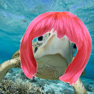 Lisão da Praia - Projeto Tamar