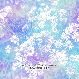 where wildflowers dance by Beautiful Life