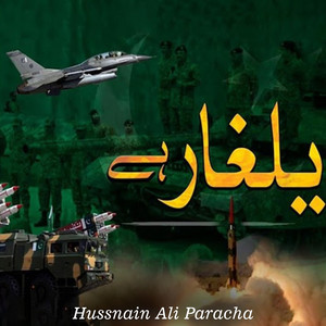 Hussnain Ali Paracha - Yalghar Hai