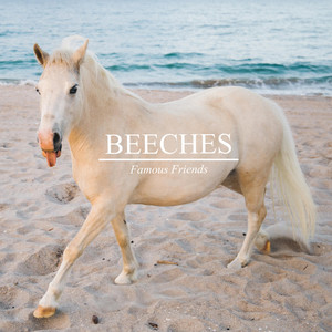 We Don't Know by Beeches