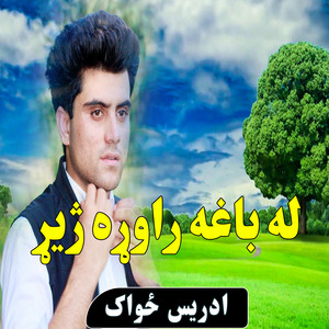 ادریس ځواک - له باغه راوړه ژیړ