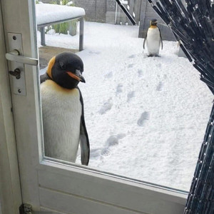 I'll be wating at your door. by Macezz!
