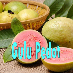 Dewangkara - Gulu Pedot