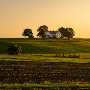 Deelite - Fall Outside Utopia (feat. MooMrProducer)