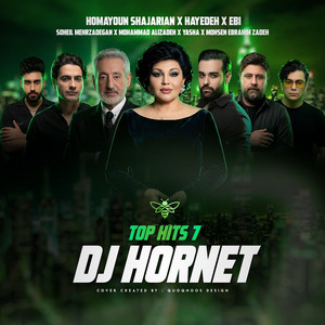 Top Hits 7 by DJ Hornet