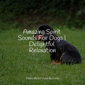 Amazing Spirit Sounds For Dogs | Delightful Relaxation album