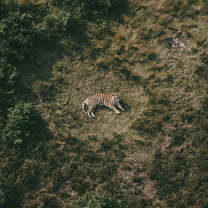 Bandipur by Les Jardíns