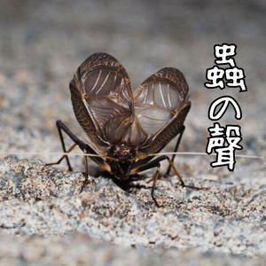 蟲の聲 - Karaoke by TMW
