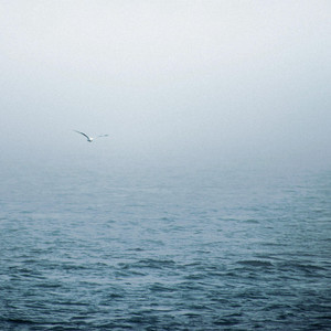 Clarity