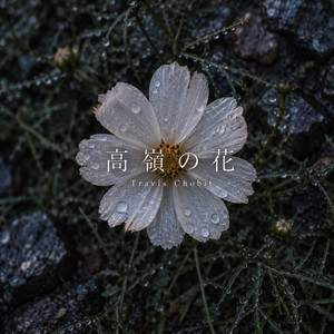高嶺の花 by Travis Chobit