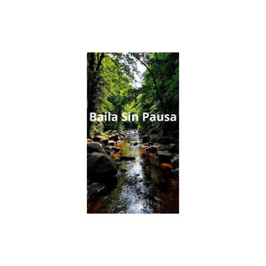 Baila Sin Pausa by Rose of melody