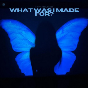 Sonu Worldwide — what was I made for? (2026)