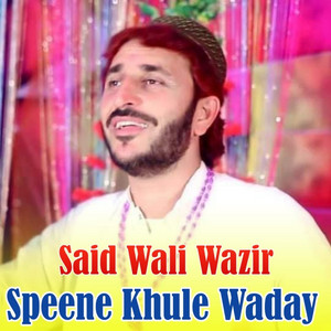 Said Wali Wazir - Khabare Joray Kama Yar Ta