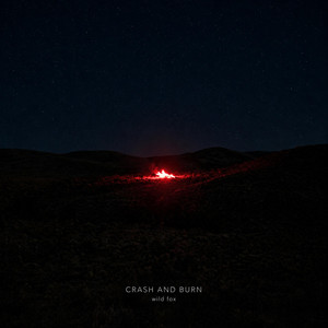 Crash And Burn by Wild Fox