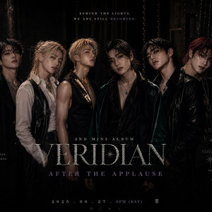 YOU DON'T HAVE TO GO HOME TONIGHT by VERIDIAN
