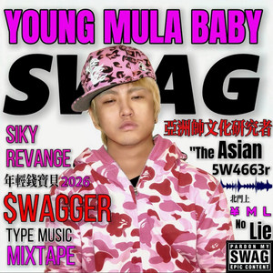 我只想當個swagger