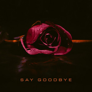 Say Goodbye by Lines of Loyalty