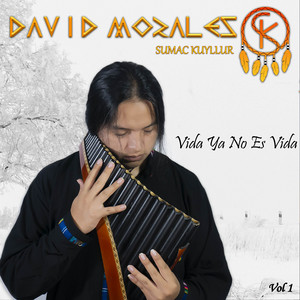 David Morales Sk - Vida Ya No Es Vida