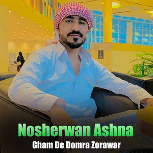 Nosherwan Ashna - Ta Ba Prezdi Bal Ba Yar Ki