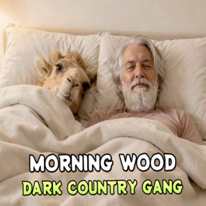 Don't wanna fall fast by Dark Country Gang