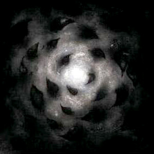 Pale Creation poster