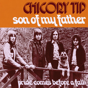 Chicory Tip