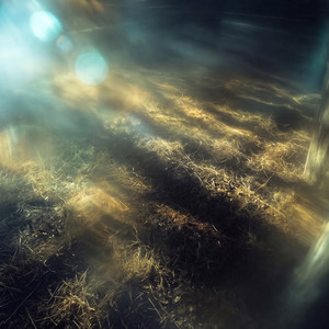 among quiet things by Ishant Panwar, Heath Hardy