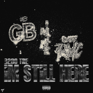 6 Months by 3200 TRE