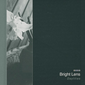 Daylilies by Bright Lens