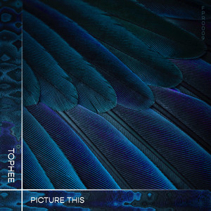 Tophee cover