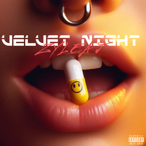 VELVET NIGHT by ZYLEA J