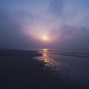 Distant Shore by Dariya