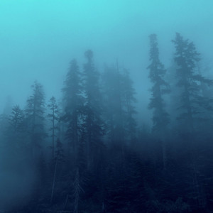 fading memory by dxprived