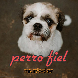 PERRO FIEL by MR.UNLOCKER