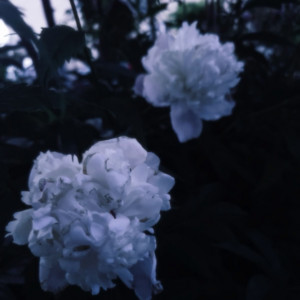 past memories ft.u7 by 4a, u7