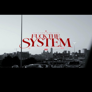 Fuck the system by Tearitoffwaka
