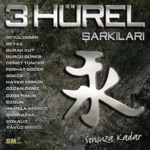 Bir Sevmek Bin Defa Ölmek Demekmiş - song and lyrics by Yavuz ...