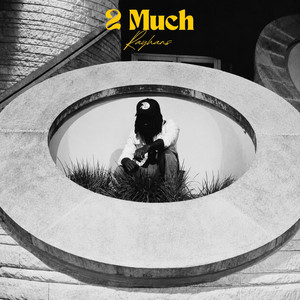 2 Much by Rayhans
