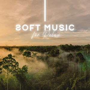 Soft Music for Relax: Stress Reliefing Nature Sounds, Reassuring Instrumentals album